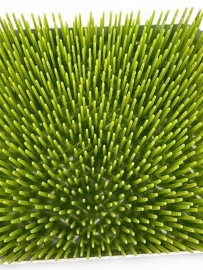 Boon Lawn Baby Bottle Drying Rack
Detachable Drip Tray Green White